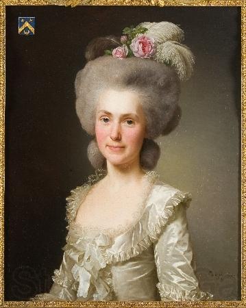 Alexandre Roslin Portrait of Marie Jeanne Jeanne Puissant Norge oil painting art